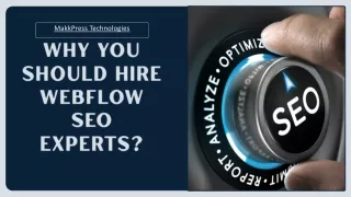 Why You Should Hire  Webflow SEO Experts