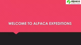 Machu Picchu Hike Booking at Alpaca Expeditions