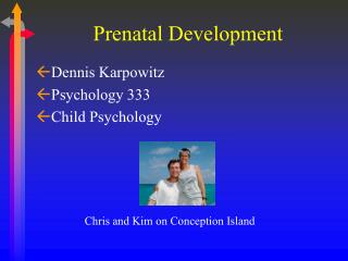 Prenatal Development