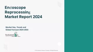 Endoscope Reprocessing Market Size, Share Analysis, Industry Report By 2033