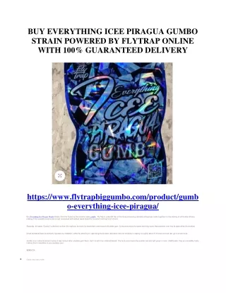BUY EVERYTHING ICEE PIRAGUA GUMBO STRAIN POWERED BY FLYTRAP ONLINE WITH 100