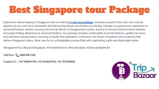 Singapore tour packages