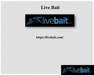 8 ft Cast Net, livebait