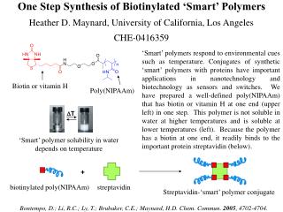 One Step Synthesis of Biotinylated ‘Smart’ Polymers Heather D. Maynard, University of California, Los Angeles CHE-041635