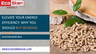 Elevate Your Energy Efficiency Why You Should Buy Biomass Pellets