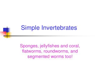 Simple Invertebrates