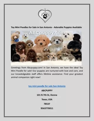 Toy Mini Poodles for Sale in San Antonio - Adorable Puppies Available