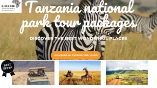 Tanzania National Park Tour Packages