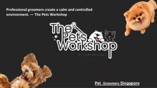 Professional groomers create a calm and controlled environment. — The Pets Workshop