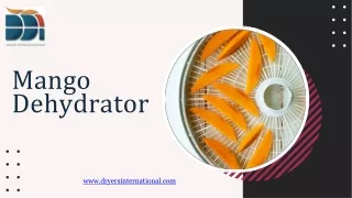 Mango Dehydrator