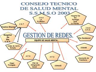 CONSEJO TECNICO DE SALUD MENTAL S.S.M.S.O 2003