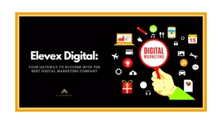 Elevex Digital: Your Gateway To Success With The Best Digital Marketing Company