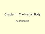 Chapter 1: The Human Body