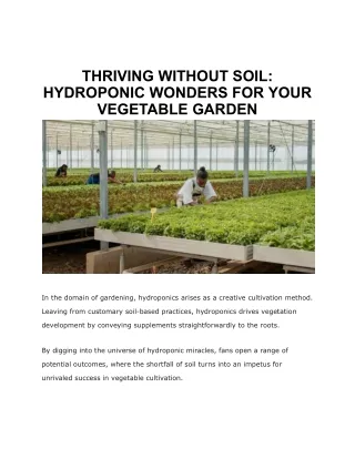 Best vegetables for hydroponics