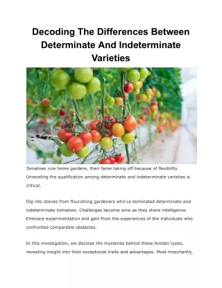 What is the difference between determinate and indeterminate tomatoes