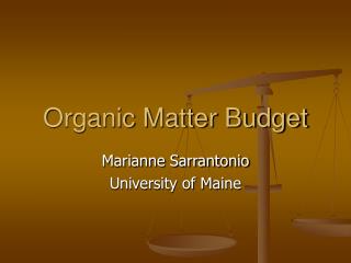 Organic Matter Budget