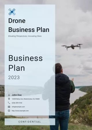 drone business plan example