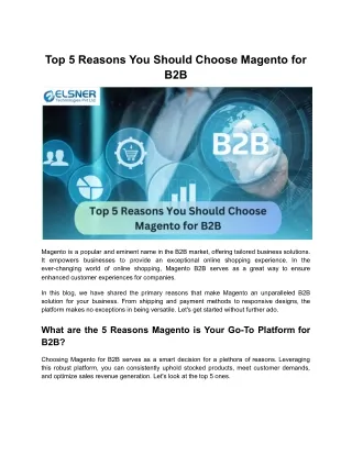 5 Reasons Magento Commerce Reigns as Your Ideal B2B Solution