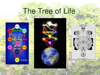 The Tree of Life