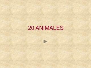 20 ANIMALES