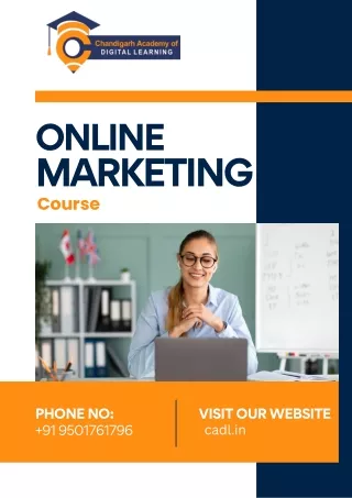 Best Online Digital Marketing Course In Zirakpur For Students