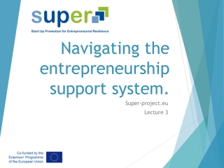 Navigating the entrepreneurship support system.