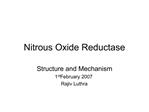 Nitrous Oxide Reductase