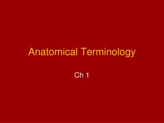 Anatomical Terminology