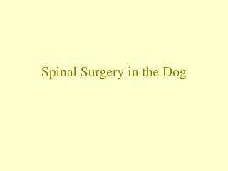 Spinal Surgery in the Dog