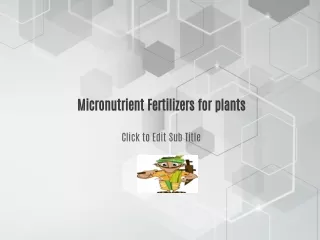 Micronutrients and Fertilizers for Plants and crops