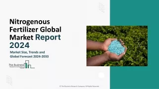 Nitrogenous Fertilizer Market Size, Share Analysis, Growth And Forecast 2024-203