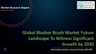 Blusher Brush Market Future Landscape To Witness Significant Growth by 2030