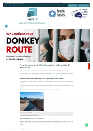 Is Donkey Visa Safe