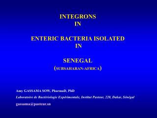 INTEGRONS IN ENTERIC BACTERIA ISOLATED IN SENEGAL ( SUBSAHARAN-AFRICA )
