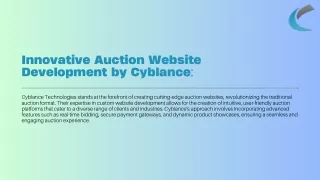cyblance website (11)