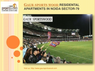 Best Offers Gaur Sports Wood