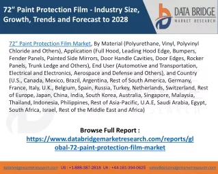 72” Paint Protection Film Market