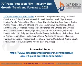 72” Paint Protection Film Market