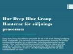 Hur Deep Blue Group Hanterar försäljningsprocessen