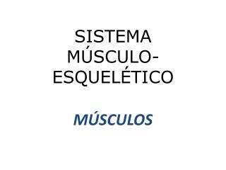 SISTEMA MÚSCULO-ESQUELÉTICO