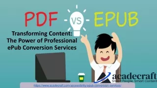 Efficient and Accurate EPUB Conversion Services