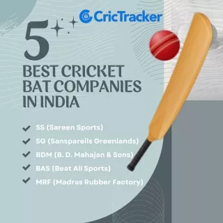 Top 5 Cricket Bat Brands in India: Powering Players to Victory