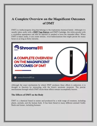 A Complete Overview on the Magnificent Outcomes of DMT