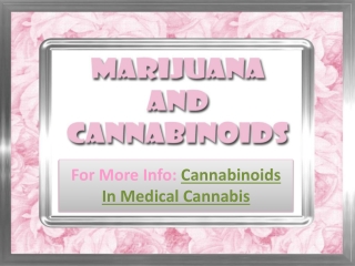 Marijuana And Cannabinoids