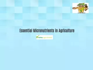 What are the essential micronutrients for agriculture