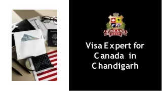 Visa-expert-for-canada-in-chandigarh-