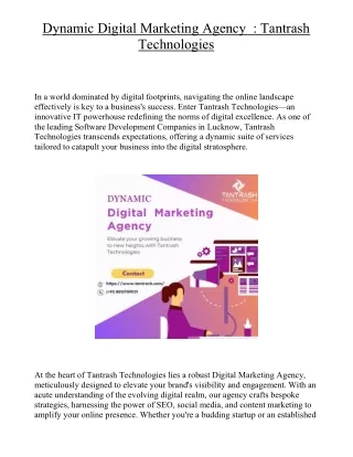 Dynamic Digital Marketing Agency  : Tantrash Technologies