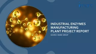 Industrial Enzymes Manufacturing Plant Project Report PPT 2024