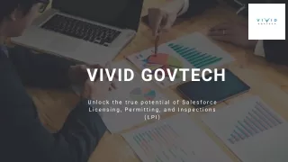 Salesforce Advisory Services - Vivid Govtech