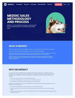 MEDDICC Sales Methodology and Process